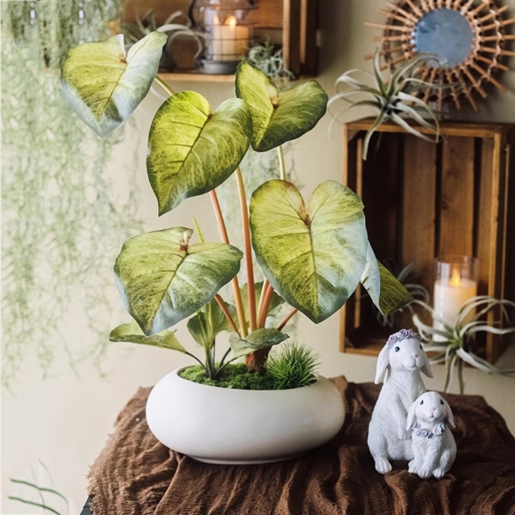 집안 분위기 칼라디움 조화 장식02(색상)