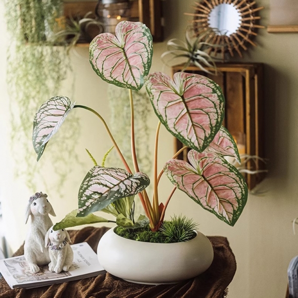 집안 분위기 칼라디움 조화 장식02(색상)