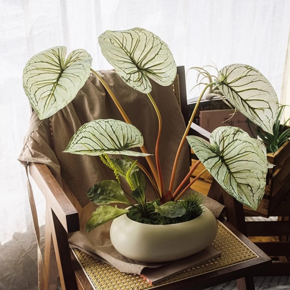 집안 분위기 칼라디움 조화 장식02(색상)