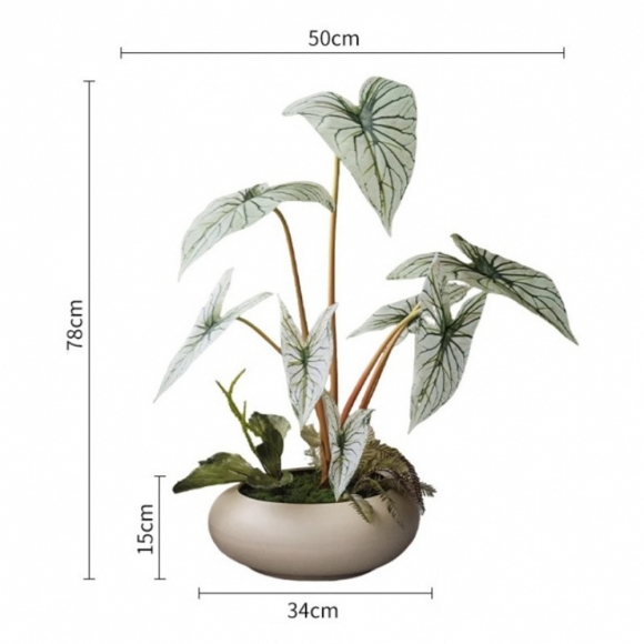 집안 분위기 칼라디움 조화 장식03(색상)