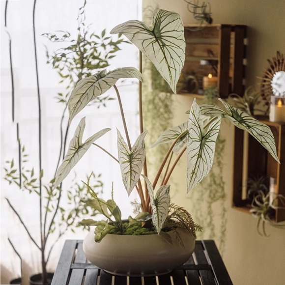 집안 분위기 칼라디움 조화 장식03(색상)