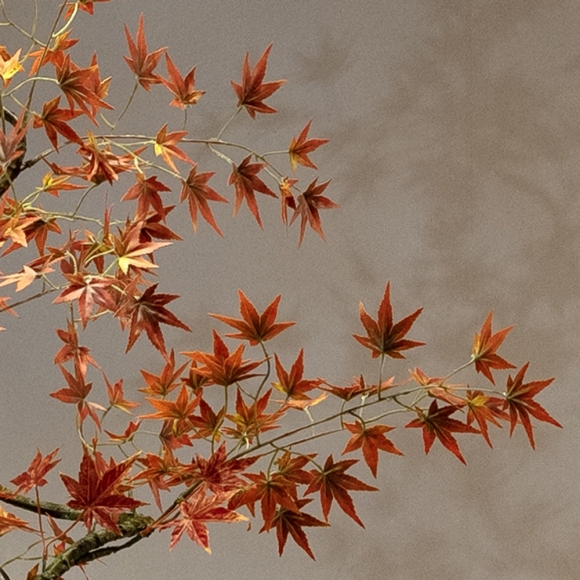 인테리어 수양 붉은 단풍 조화 장식