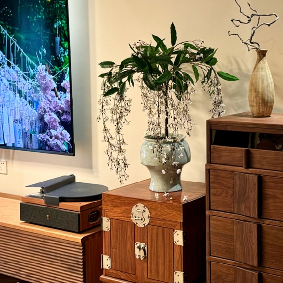 인테리어 우아한 학자스민 조화 화분(색상)