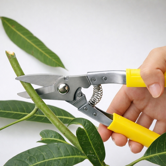 홈그로우 적과 전지가위