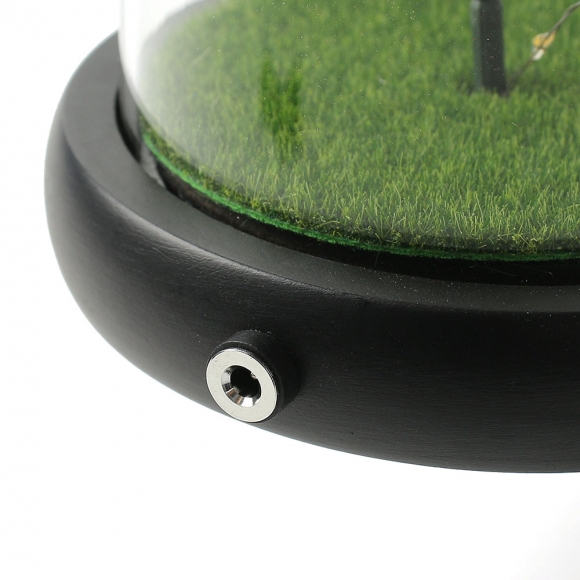 레드로사 유리돔 장미 무드등(블랙)