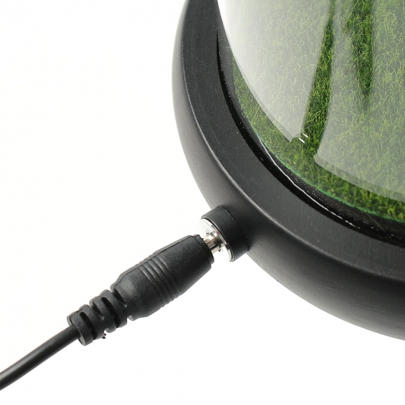 레드로사 유리돔 장미 무드등(블랙)