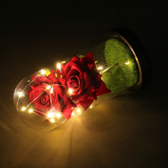 레드로사 유리돔 장미 무드등(블랙)