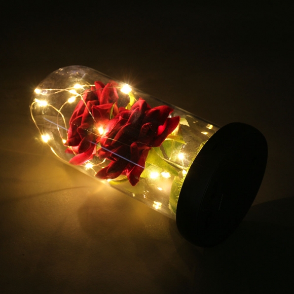 레드로사 유리돔 장미 무드등(블랙)