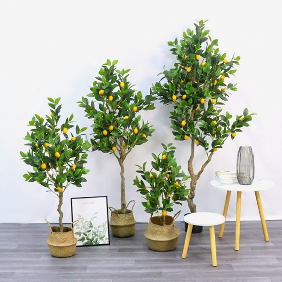 리프가든 레몬나무 조화(150cm)