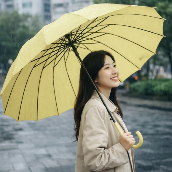 레인윈드 튼튼 자동 장우산(올리브그린)