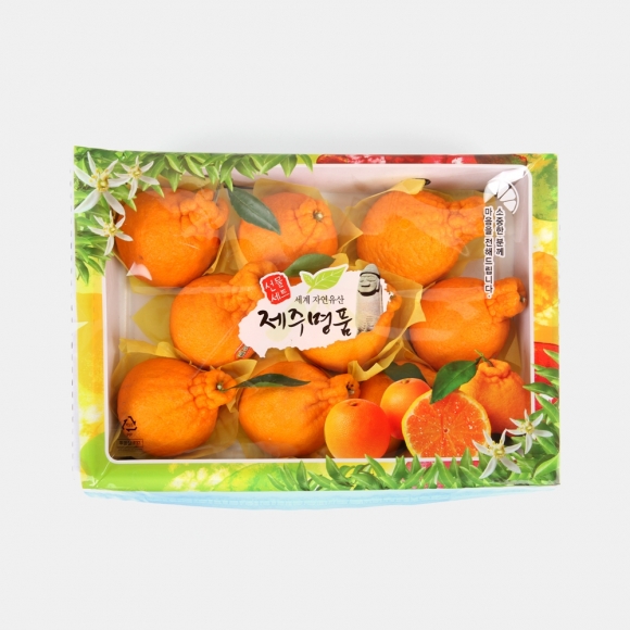[초록자연] 제주 한라봉 3kg(8-9과)