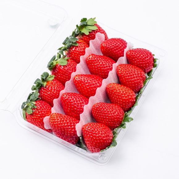 [초록자연] 죽향 딸기 500g(500gx1팩)(특)