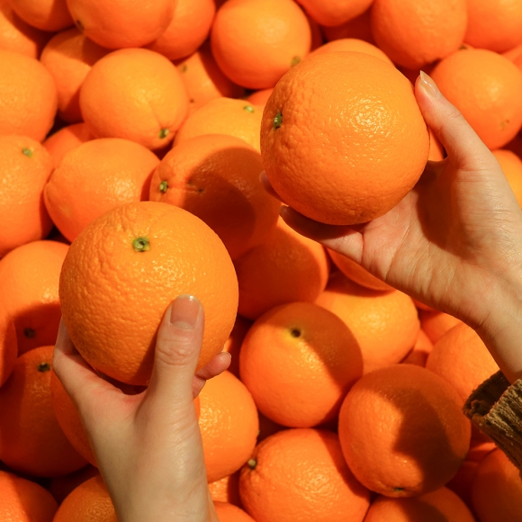 [초록자연] 고당도 오렌지 5kg(25과)