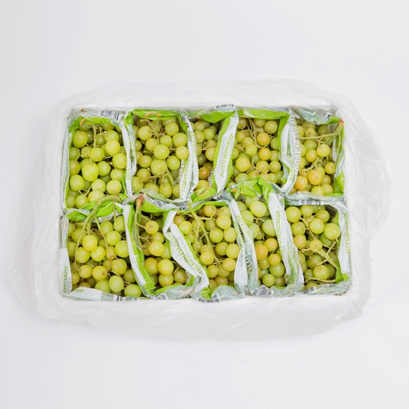 [초록자연] 껍질째 먹는 청포도 7kg