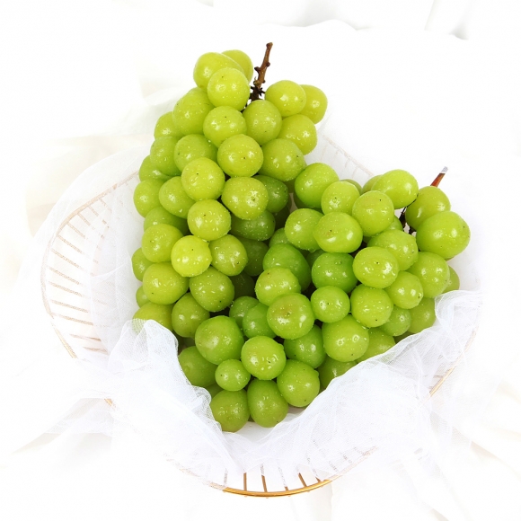 [초록자연] 샤인머스켓 2kg(6수)