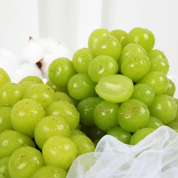 [초록자연] 샤인머스켓 2kg(6수)