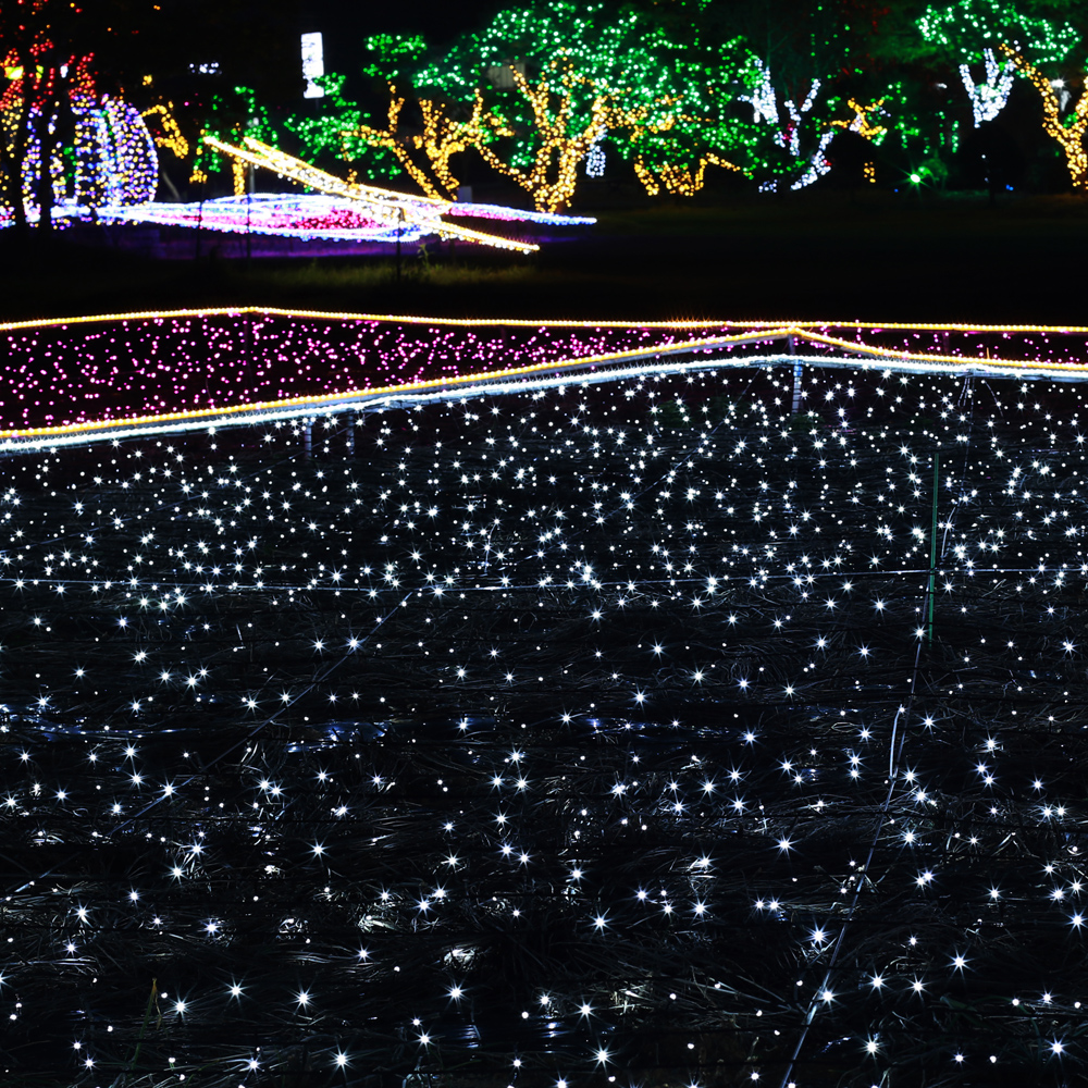 [은하수] 500구 검정선 LED 백색 지니전구(50M) (전원잭포함) 크리스마스