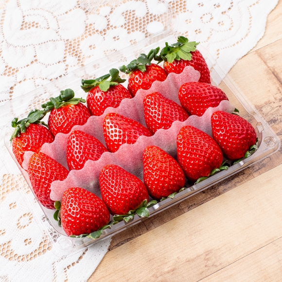 [초록자연] 죽향 딸기 2kg (특)