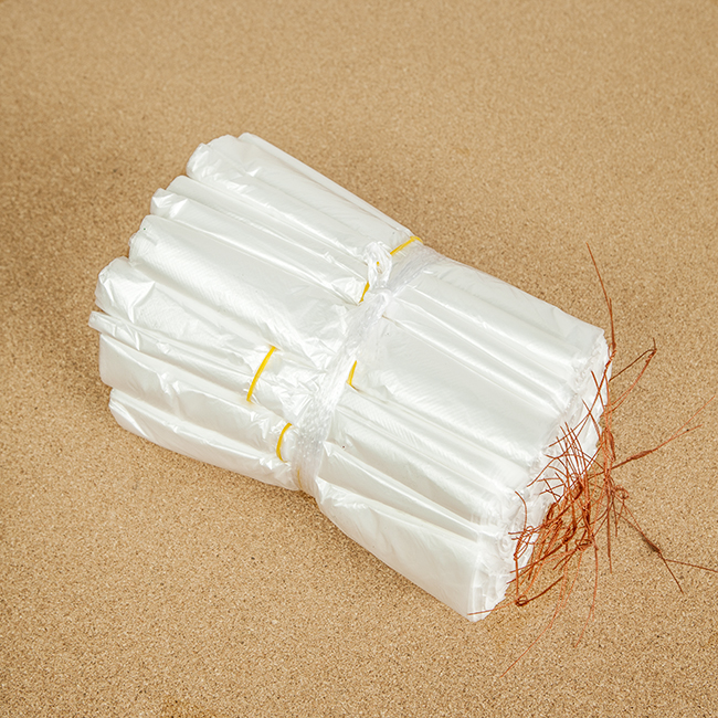 100매 속지 비닐봉투(21) (21cmx26cm)